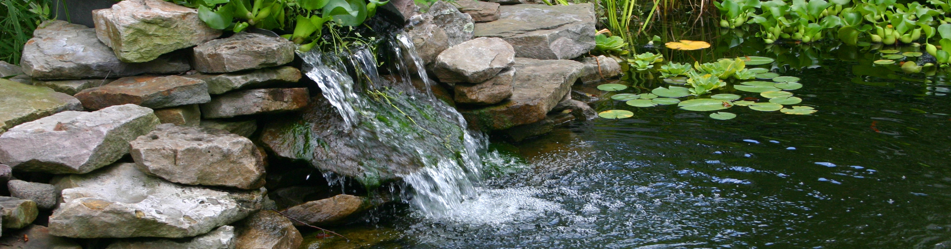 Small pond with a waterfall.